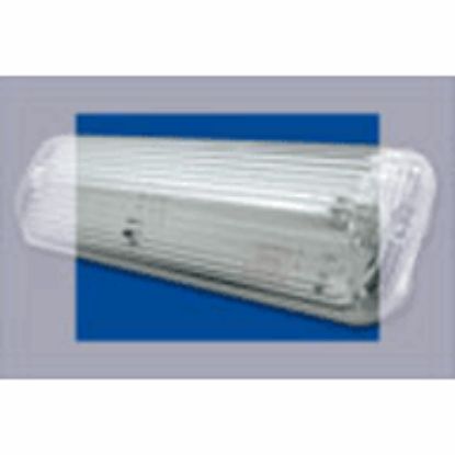 CE+T V601808100 WA8-3-M - Permanent en Niet permanent - 80 lumen - 3U - IP65