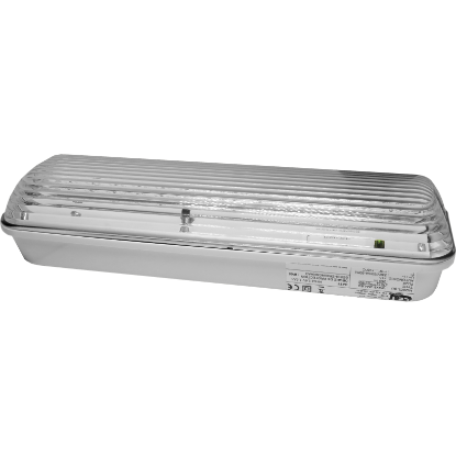 CE+T V601808190 WAX8-3-M - noodverlichting permanent - 2,5W - 250 lumen - 3 uur - IP65 - transparant